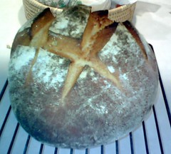 freshly baked bread