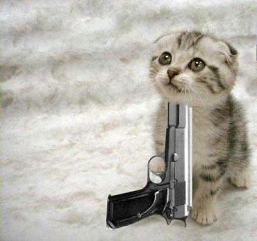 cats with guns. cat with gun