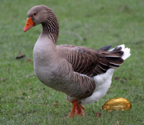 Goose that lays golden eggs
