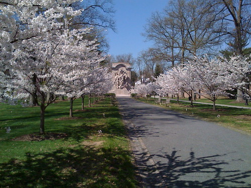 Princeton In The Spring