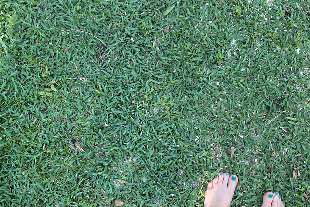 Green grass & toes