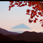Mt. Fuji of autumn