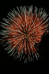 Fireworks at Tochimilco's Sky