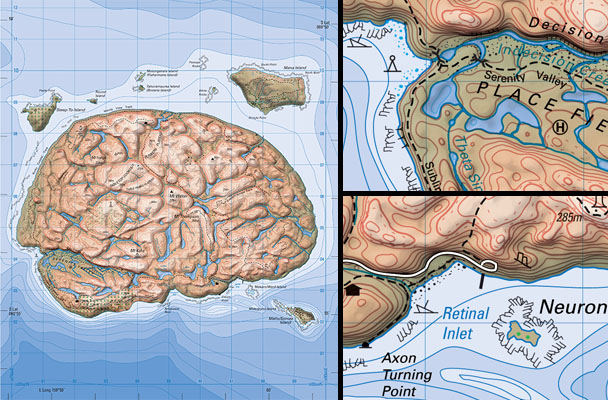 New Brainland Map