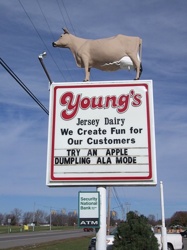 Young's Jersey Dairy Farm