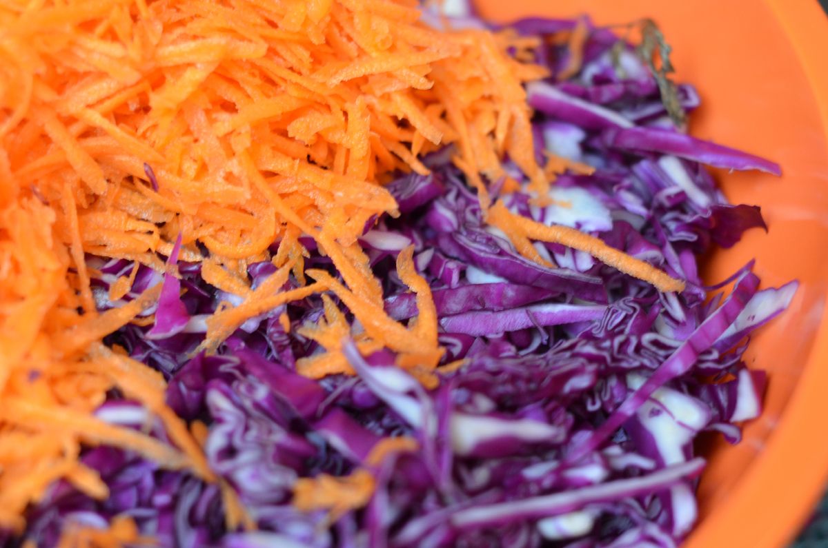 carrots and red cabbage