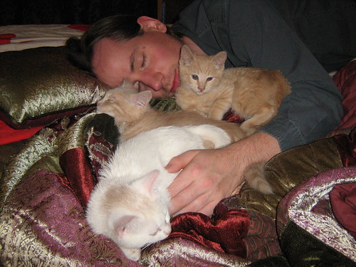 Brian and the kittens