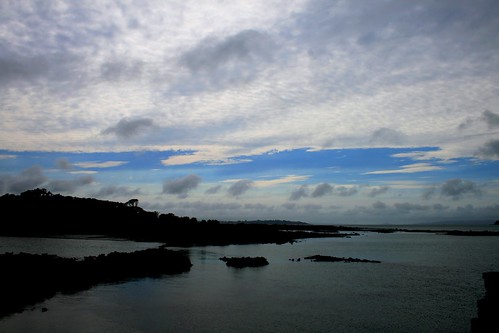 View from Rangitoto