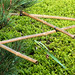 Parc de Maulévrier - Armature en bambou
