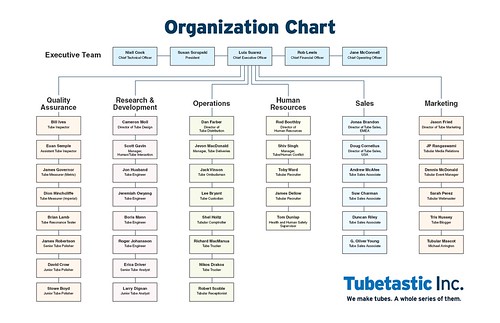 organization chart. Organization chart for