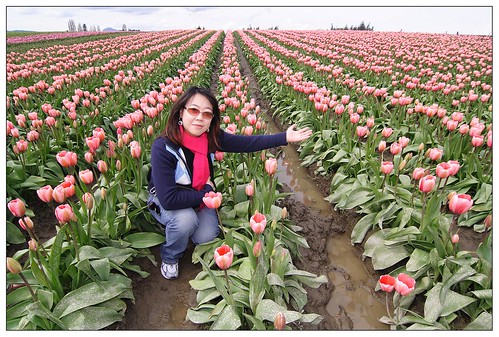 Tulip Festival_4109