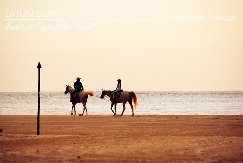 Beach horse riding