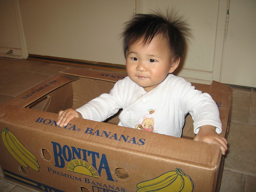 banana box