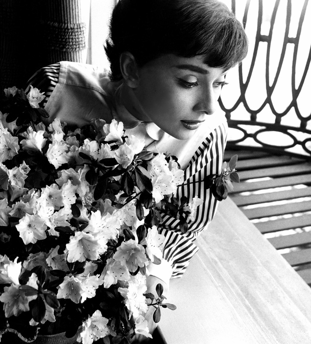 Audrey Hepburn à l& fenêtre avec des fleurs, 1953