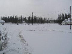 Snow Day in Fairbanks Alaska