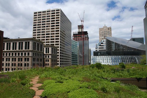 City Hall's green roof