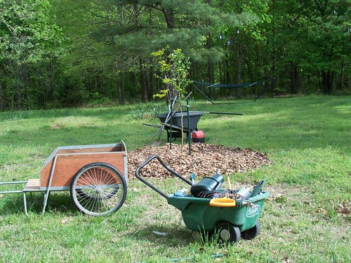 How many wheelbarrows to plant a tree at Larrapin?