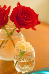 vignette - roses and a tiny carnation