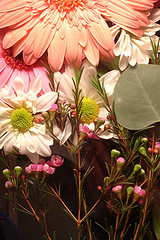 Flowers iphone wallpaper beautiful