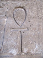 Symbol of Longevity and Vitality