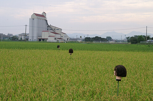 above: bodyless scarecrows guard a field in japan.