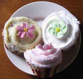 Cupcakes-Feb08_0518