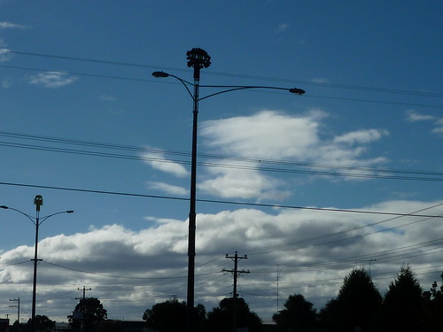 Tree Pole (wide) by wildwombat1