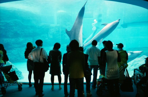 The Nagoya port aquarium (Nagoya Public Aquarium)