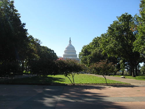 009 - Capitol through the trees 3