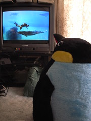 Penguin watches Nigel Marven