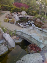 SHDH24: Oriental Garden