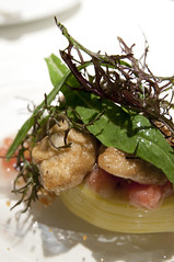 ポロネギをテリーヌにし、北海道昆布森産の牡蠣のポワレを添えて, Monolith, Aoyama