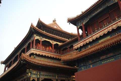 Pekin - temple des Lamas (24) [480]