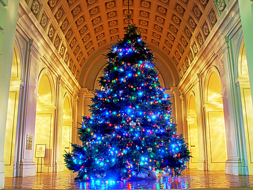 Christmas Tree - HDR