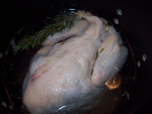 chicken in brine