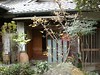 日本京都行屋與樹之美DSCN4990