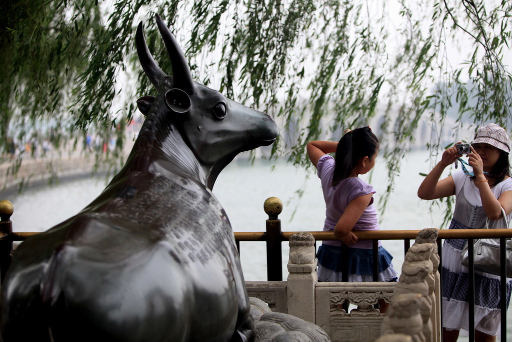  颐和园 , 铜牛 (Summer Palace, Beijing)