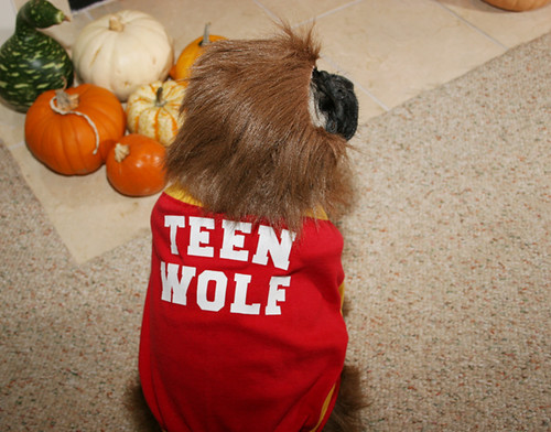 Teen Wolf, back
