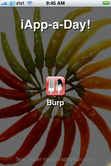 iApp-a-Day - Burp
