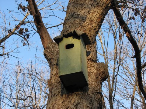 box for barn owls Lone Elk Park