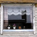 Forlatt vindu II - A window in an Abandoned house II by 彡erlingsi