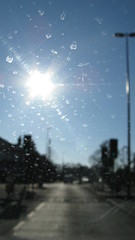 Dirty Windscreen into the Spring sun #2