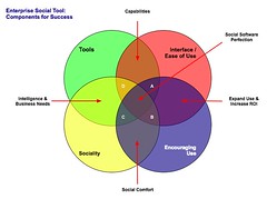 Enterprise Social Tool: Components for Success