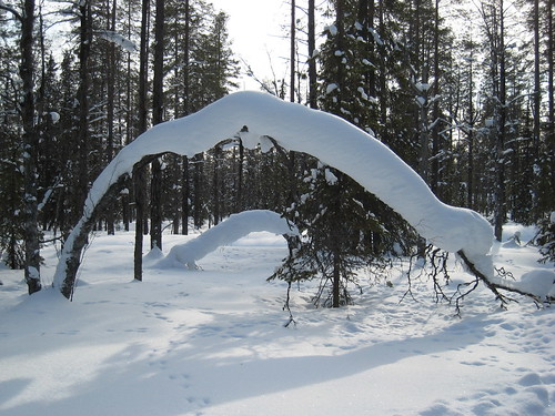 The Arch of snow