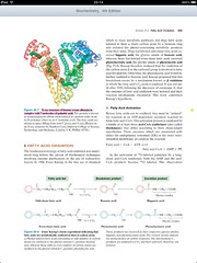 Biochemistry on the iPad