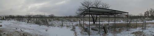 Snowy morning in Kent, Texas, USA