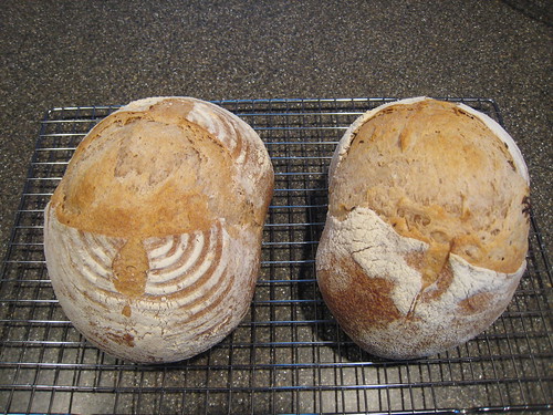 Sourdough - Half white/half whole wheat