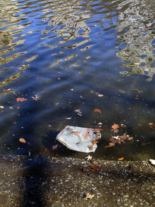plastice bag in Central Park pond