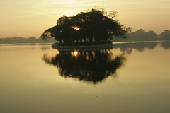 Ulsoor Lake reflections