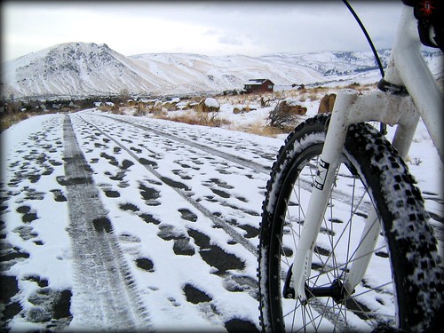 Winter Bike Path